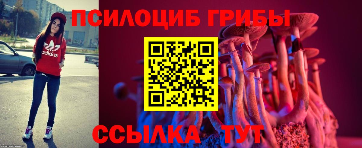 Озёрск  Галлюциногенные грибы прущие грибы  Вход с VPN 
